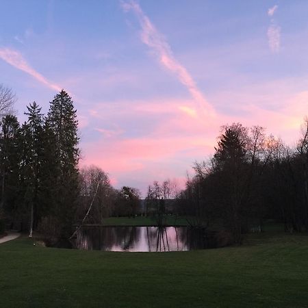 Chateau Du Breuil Bed and Breakfast Gevrolles Esterno foto
