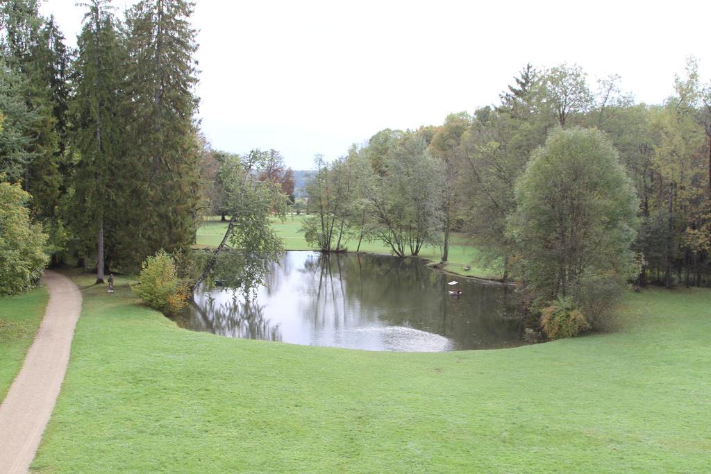 Chateau Du Breuil Bed and Breakfast Gevrolles Camera foto