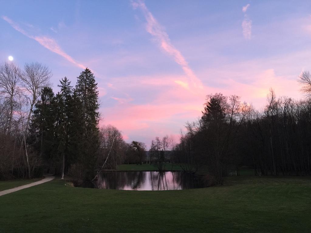 Chateau Du Breuil Bed and Breakfast Gevrolles Esterno foto